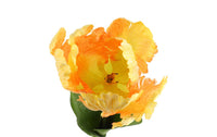 Kunst bloem Tulp Tulipa Barbera geel/zalm-L9B9H68CM