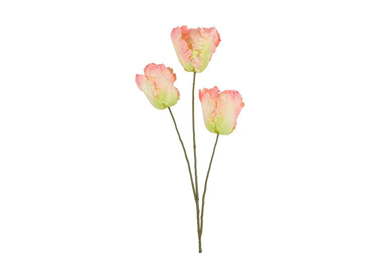 Kunst bloem Tulp Tulipa Apeldoorn roze