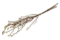 Kunst bundel Tilia 3x groen-8B20H56CM