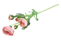 Ranunculus roze -L15B15H53CM