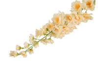 Kunst bloem Delphinium giant crème-L10B10H90CM