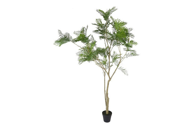 Kunst plant Jacaranda L groen-L140B140H290CM