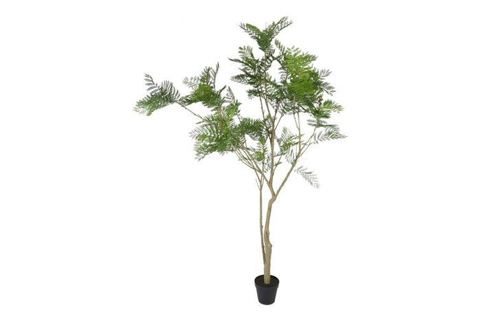 Kunst plant Jacaranda L groen-L140B140H290CM