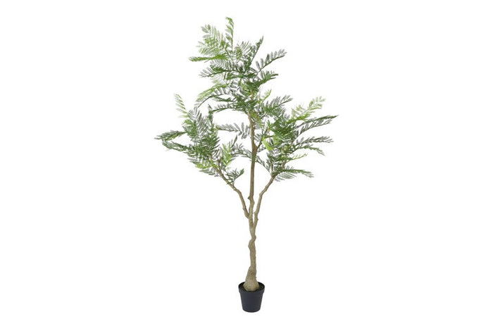 Kunst plant Jacaranda S groen-L100B100H220CM