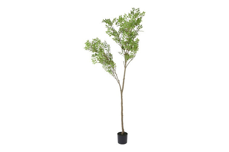 Kunst plant Schefflera L groen-L80B80H240CM