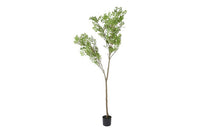 Kunst plant Schefflera L groen-L80B80H240CM