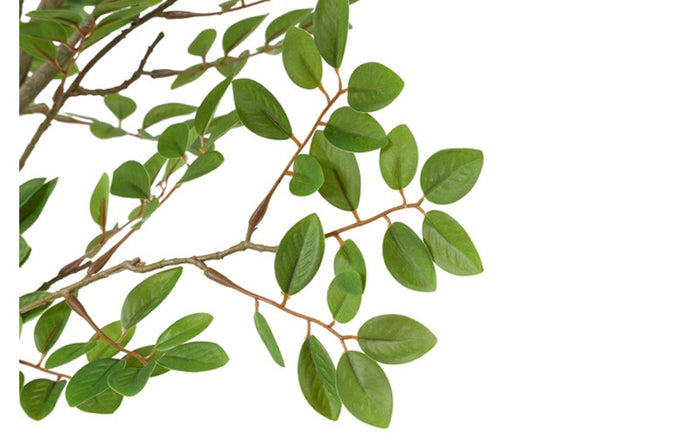 Kunst plant Schefflera L groen-L80B80H240CM