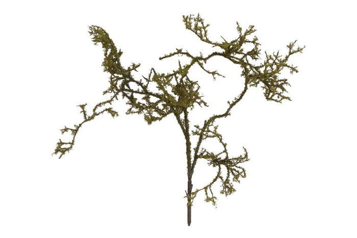 Kunst tak Frangula Sphagnum bruin-9B23H100CM