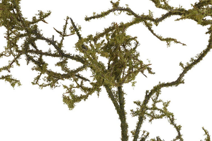 Kunst tak Frangula Sphagnum bruin-9B23H100CM