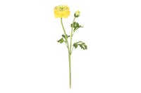 Kunst bloem Ranunculus geel-L10B8H48CM