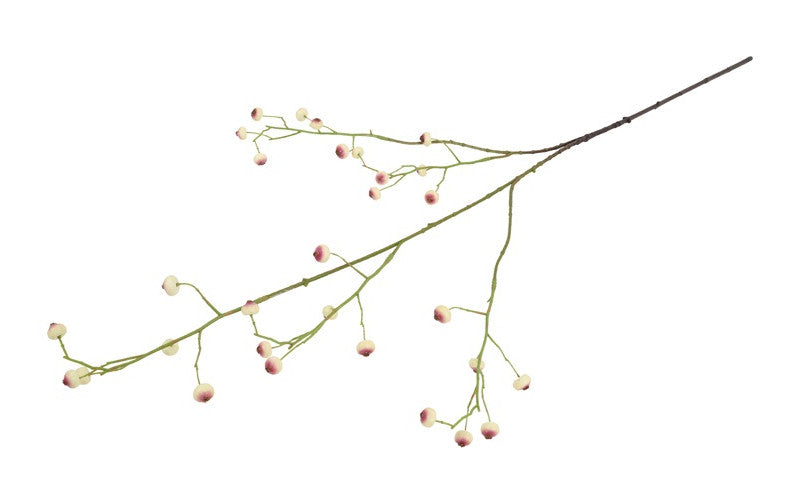 Kunst bes Rosa Canina S wit-L12B6H100CM