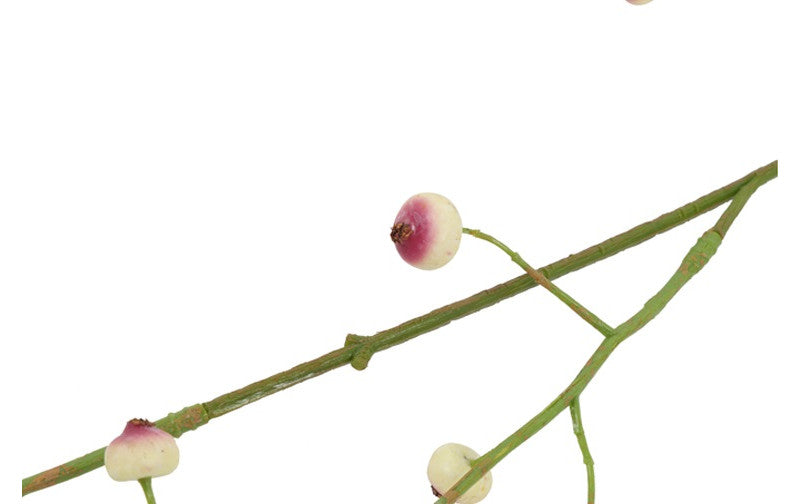 Kunst bes Rosa Canina S wit-L12B6H100CM