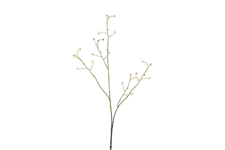 Kunst bes Rosa Canina S wit-L12B6H100CM