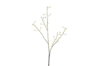 Kunst bes Rosa Canina S wit-L12B6H100CM