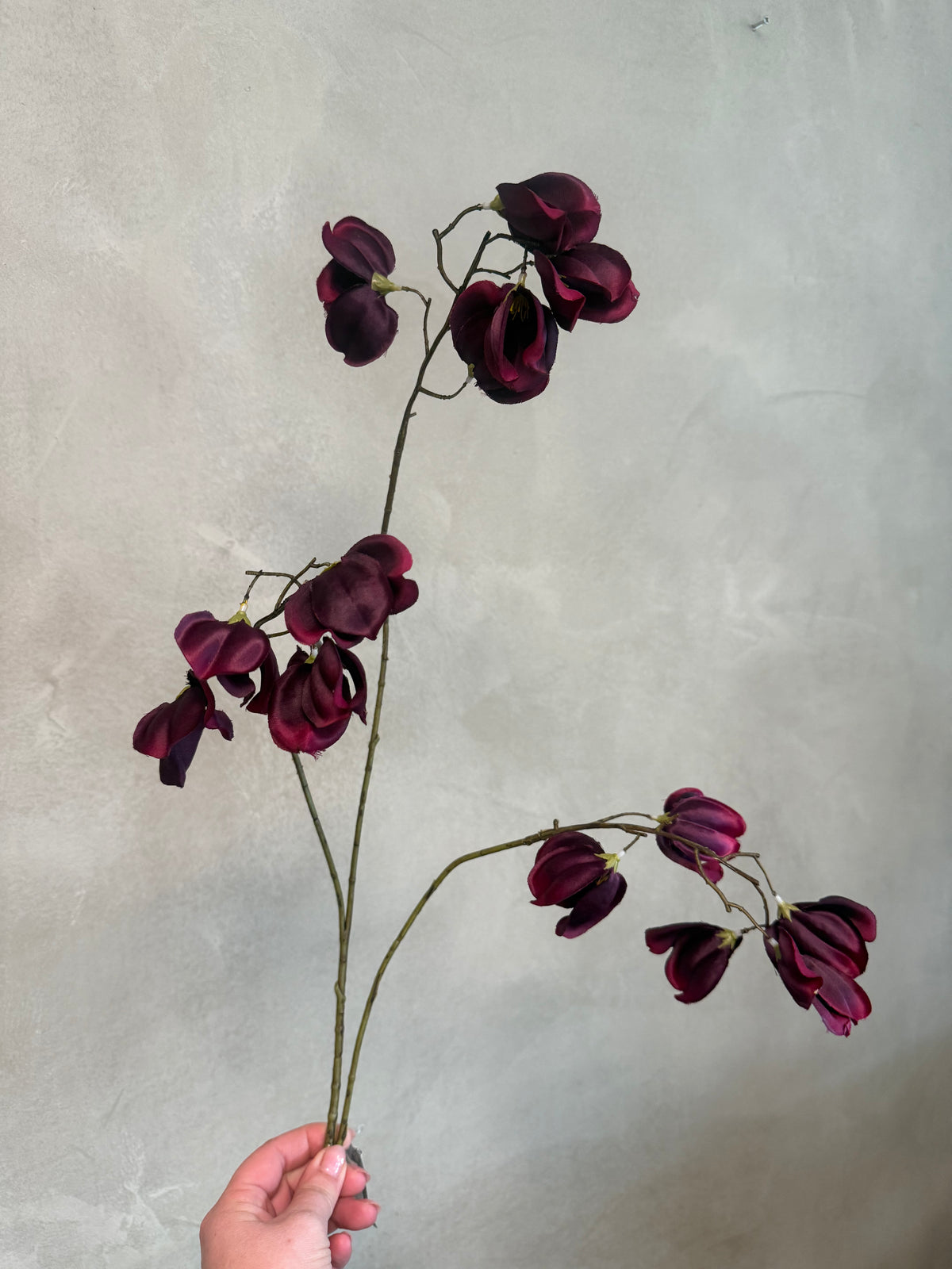 Zijden Sweet Pea – Deep Burgundy