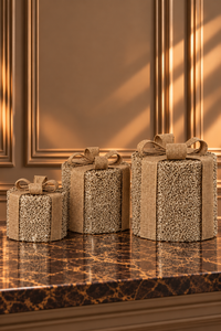 Set Of 3 Gift Glitters Iron Gold/Natural