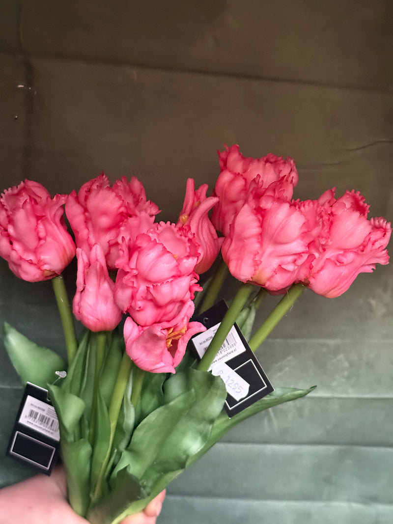 Parkiet tulp roze
