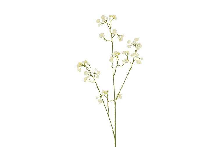 Bloem Gypsophila wit-14x14x91CM