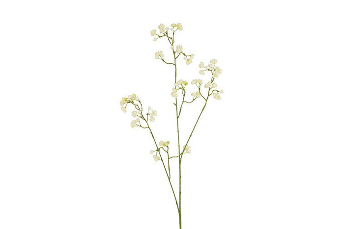 Bloem Gypsophila wit-14x14x91CM