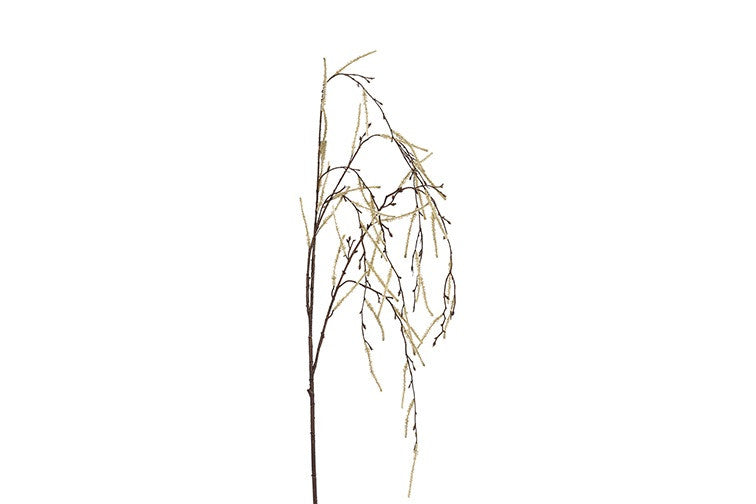 Tak treur/hang Corylus XL crèm-6x18x132CM
824753