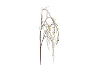 Tak treur/hang Corylus XL crèm-6x18x132CM
824753