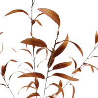 Pre - order  VELVET EUCALYPTUS 110CM BROWN