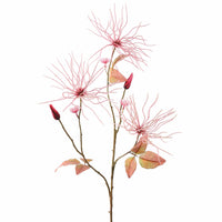 WILD CLEMATIS PINK