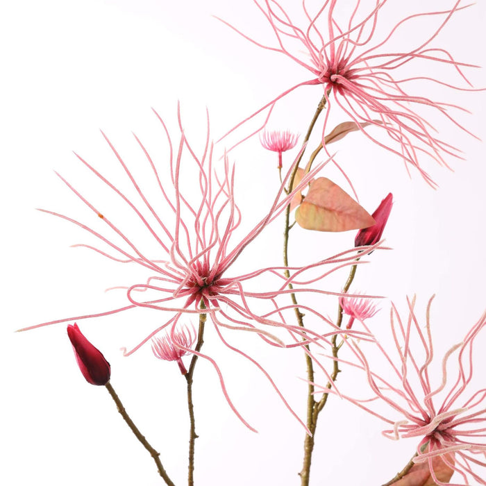 WILD CLEMATIS PINK