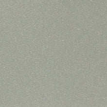 Afbeelding in Gallery-weergave laden, STUCCO D’OR METALLICO – Metallic muurverf

