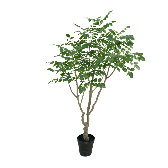 Sandalwood boom 240cm