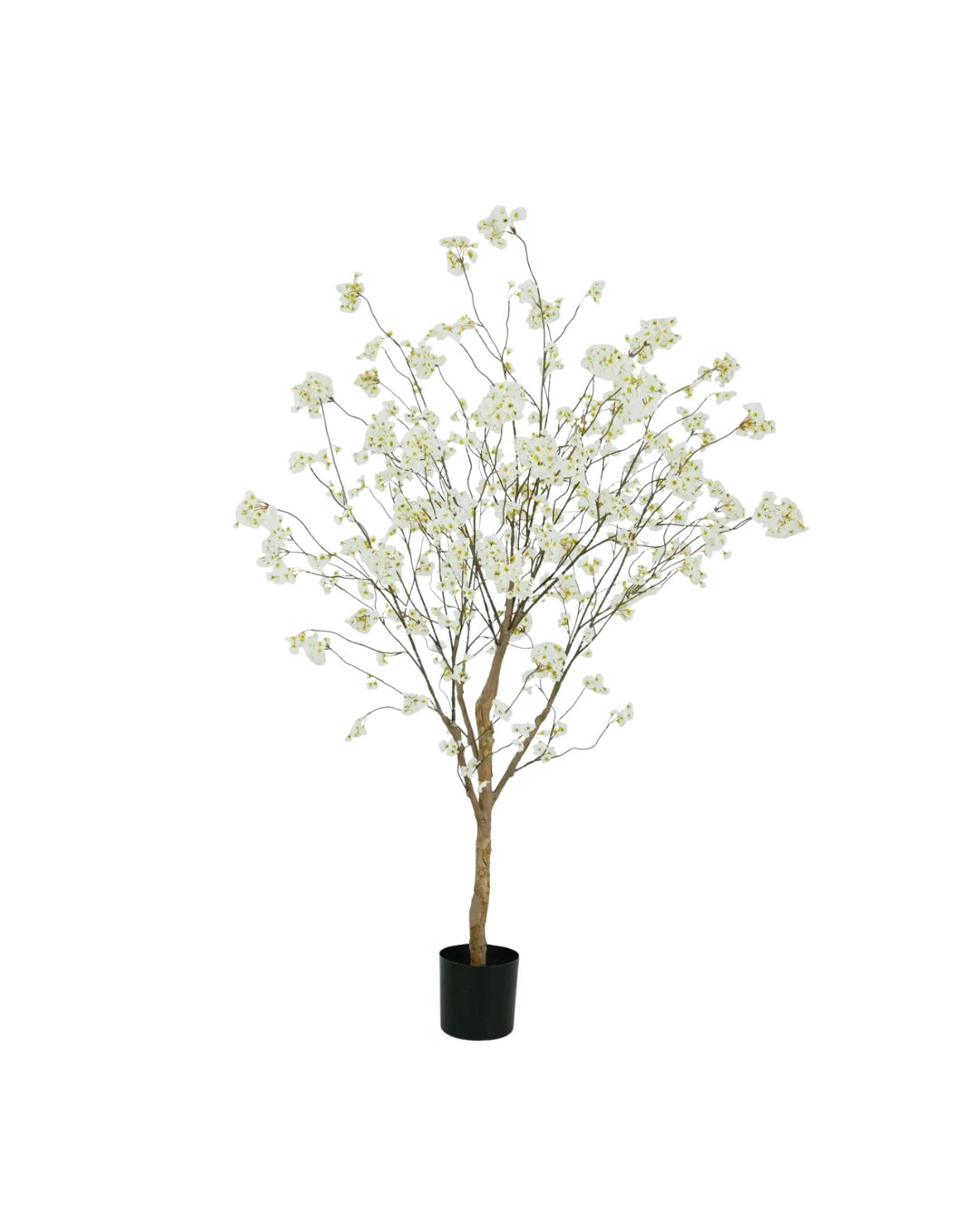 Bloesem boom crème 180cm