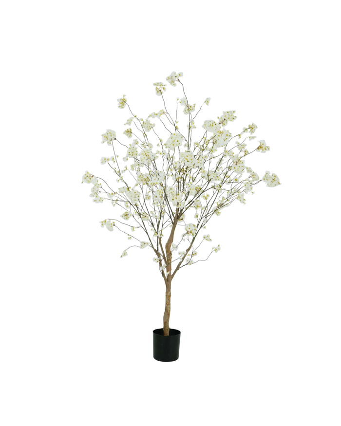 Bloesem boom crème 180cm