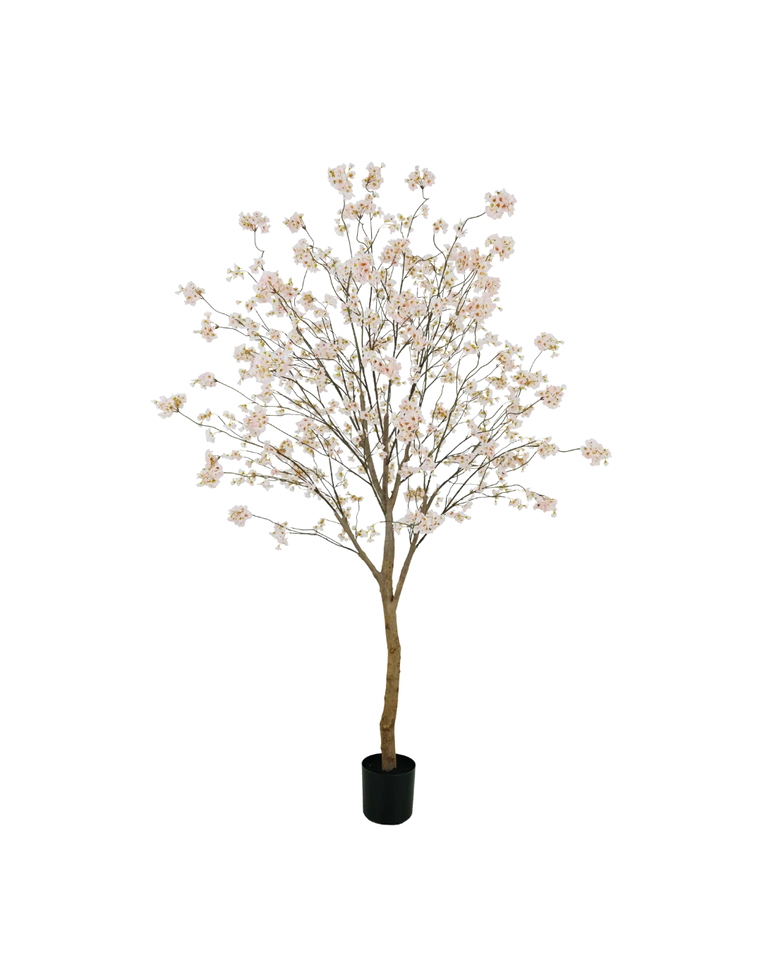 Bloesem boom roze 180cm