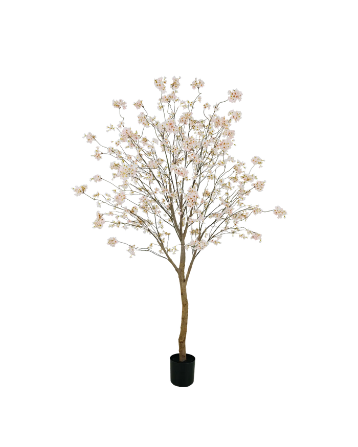 Bloesem boom roze 180cm