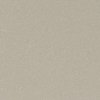 STUCCO D’OR METALLICO – Metallic muurverf