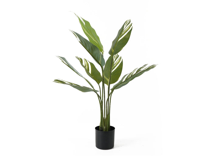 Artificial Plant Calathea
