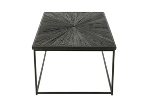Coffee Table Shanil Wood/Iron Black