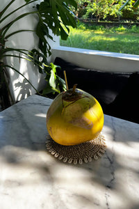 De Zeegras Shell Pan Coaster - Naturel