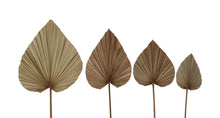 Afbeelding in Gallery-weergave laden, Decoratief palmblad set van 4 - Naturel - Palmblad
