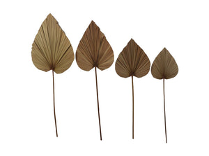 Decoratief palmblad set van 4 - Naturel - Palmblad