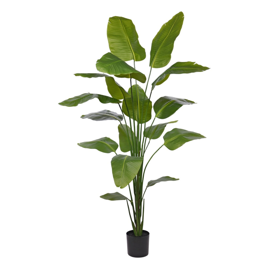 HSM Collection-Kunstplant Greens Strelitzia-100x100x210-Groen-Kunstzijde