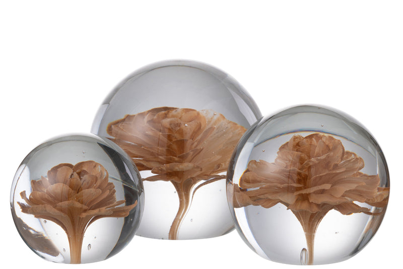 Paperweight Flower Glass Brown Large