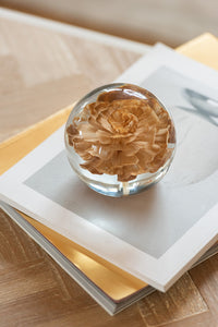 Paperweight Flower Glass Brown Large