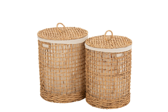 Set Of 2 Baskets+Lid Wax Water Hyacinth Natural