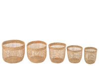 Set Of 5 Baskets Oasis Seagrass Light Natural