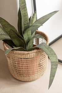 Set Of 5 Baskets Oasis Seagrass Light Natural