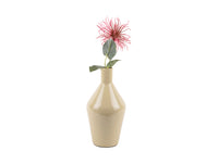 Vase Ivy Bottle Cone