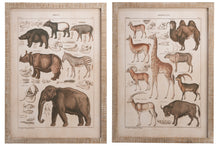 Afbeelding in Gallery-weergave laden, Wall Decoration Animals Antique Wood/Glass Natural/Sepia Assortment Of 2
