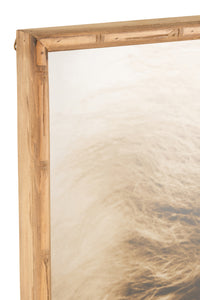 Wall Decoration Lion Wood/Glass Brown