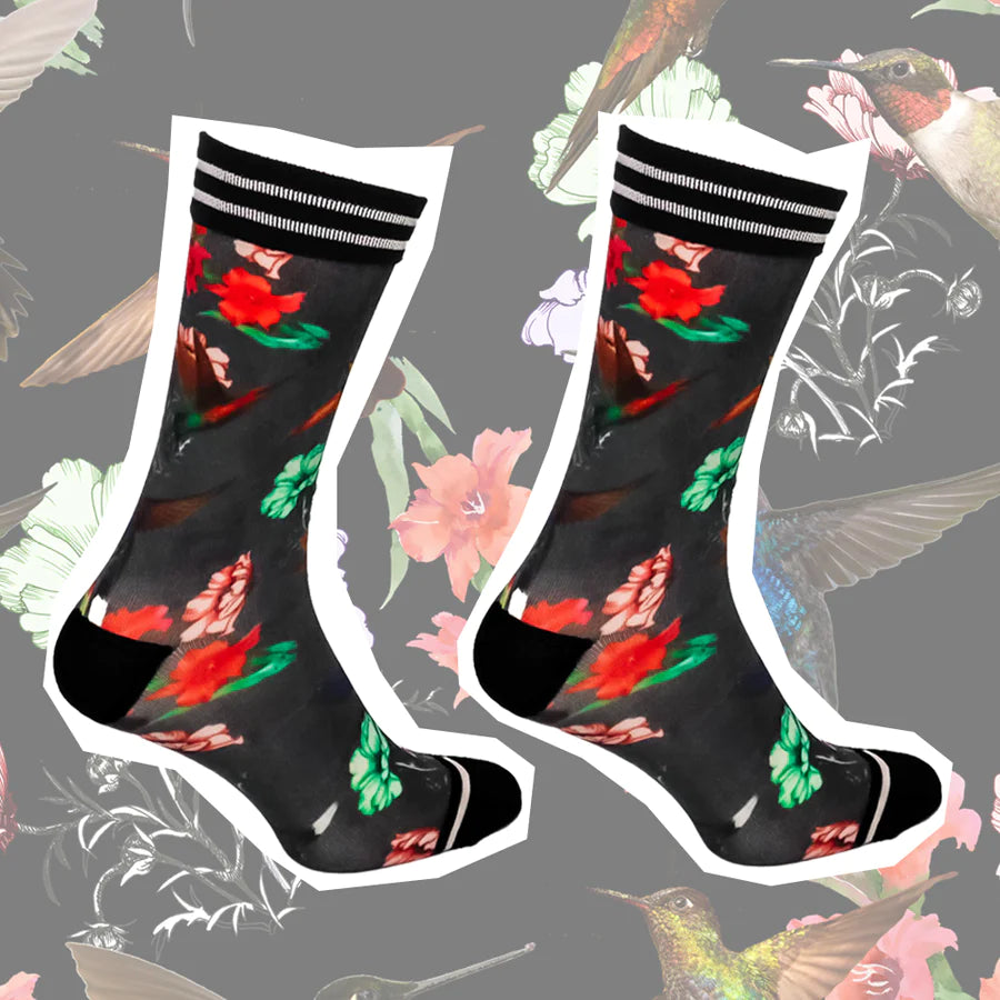 Sock my Hummingbird
